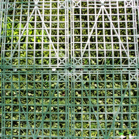 Mur vegetal artificiel brise vue Prairie color 2