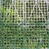 Mur vegetal artificiel brise vue Prairie color 2