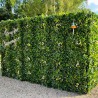 Green Mur vegetal artificiel verdoyant et Dense plaque 1x1 9
