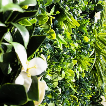 Liseron Mur Vegetal Artificiel Naturel et Occultant  5