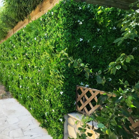 Liseron Mur Vegetal Artificiel Naturel et Occultant  7