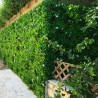 Liseron Mur Vegetal Artificiel Naturel et Occultant  7