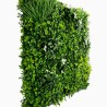 Liseron Mur Vegetal Artificiel Naturel et Occultant  3