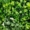 Liseron Mur Vegetal Artificiel Naturel et Occultant  6