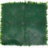 Liseron Mur Vegetal Artificiel Naturel et Occultant  7