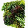 Life Mur vegetal artificiel prix/m² Couleur Vive et Mixte 2