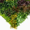 Life Mur vegetal artificiel prix/m² Couleur Vive et Mixte 4