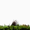 Life Mur vegetal artificiel prix/m² Couleur Vive et Mixte 10