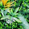 Vue rapprochée Savane panneau végétal artificiel dense
