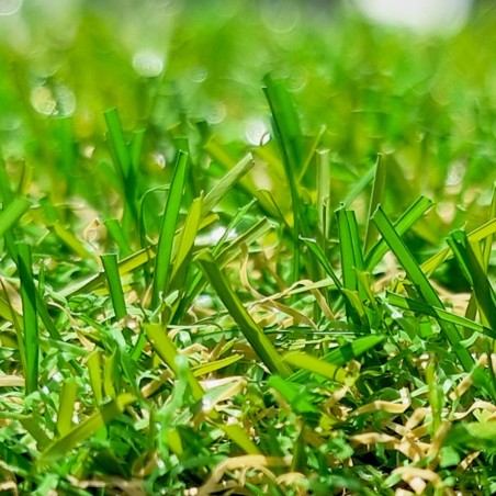 Faux gazon pas cher Mercury Fréjus 22mm pour petits jardins