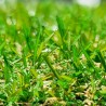 Faux gazon pas cher Mercury Fréjus 22mm pour petits jardins