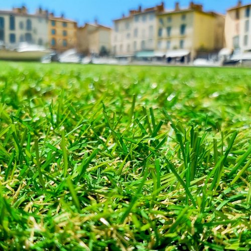 Gazon artificiel Mercury Fréjus 22mm, économique et court