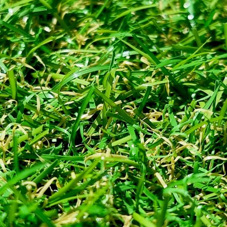 Pelouse artificielle Mercury Fréjus 22mm, qualité à petit prix