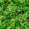 Pelouse artificielle Mercury Fréjus 22mm, qualité à petit prix