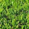 Fausse herbe économique Bobby Aubagne 35 mm, facile à couper et à  entretenir