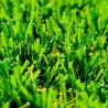 Wondergrass Gazon Synthétique de jardin pour passage intensif