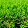 Gazon Synthétique et Pelouse wondergrass