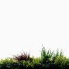 Mur Vegetal Artificiel Luxury MGS Plaque de 1m x 1m 9