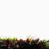 Mur Vegetal Artificiel Wood Colors MGS Plaque de 1m x 1m 10