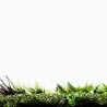 Mur Vegetal Artificiel Prairie Color MGS Plaque de 1M x 1M 14