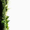 Mur Vegetal Artificiel Prairie Color MGS Plaque de 1M x 1M 15
