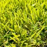 pelouse-synthetique-netrock-47mm-espace-commercial-20m2