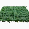 Structure clipsable et modulable vue de dos, lot de 10 panneaux Vegetal Chic, montage facile