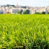 Gazon synthétique Soleil Marseille 45mm - Aspect naturel pour jardins modernes
