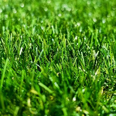 Épaisseur de 42mm du modèle Idéal Niort pour un confort optimal