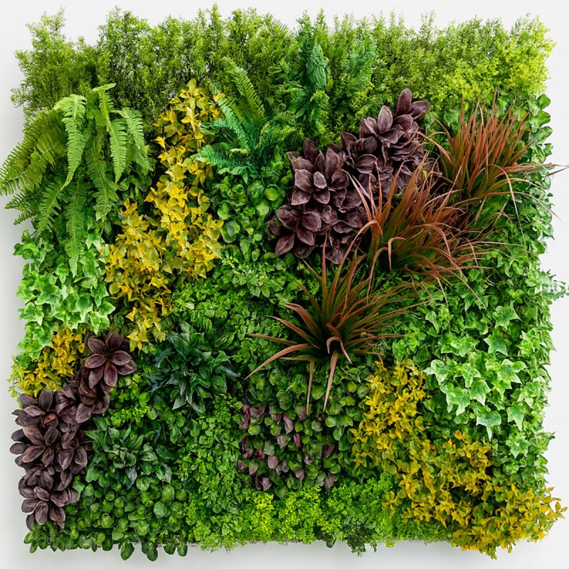 Life Mur vegetal artificiel