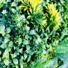 Détail feuillage Mur vegetal artificiel brise vue Jungle