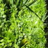 Mur Vegetal Artificiel Fougère Dense MGS