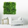 Mur Vegetal Artificiel Fougère Dense MGS