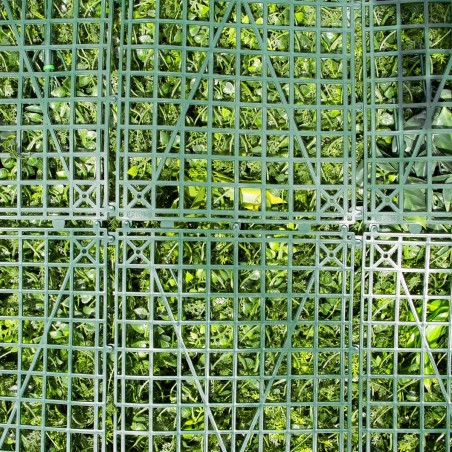 Mur Vegetal Artificiel Fougère Dense MGS