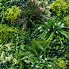 Mur Vegetal Artificiel Luxury MGS Plaque de 1m x 1m 3