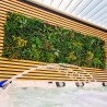 Plaque de 1m x 1m Mur Vegetale Artificiel Jungle MGS 2