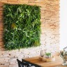 Haie vegetale artificielle savane la touche de verdure murs et clotures plaque de 1m x 1m 7