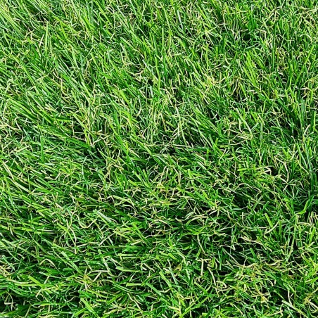 Gazon Synthetique 35mm - 2Mx16M soit 32m2- MGS 1