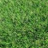 Gazon Synthetique 35mm - 2Mx18M soit 36m2 - MGS 1