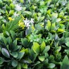 Mur Vegetal Artificiel verdure green MGS Plaque de 1M x 1M 1
