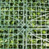 Mur Vegetal Artificiel verdure green MGS Plaque de 1M x 1M 3