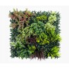 Mur Vegetal Artificiel Tropic MGS luxuriance Plaque de 1m x 1m
