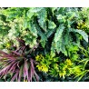 Mur Vegetal Artificiel Tropic MGS luxuriance Plaque de 1m x 1m 1