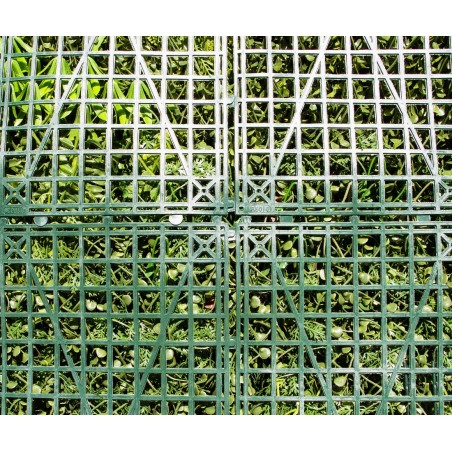 Mur Vegetal Artificiel Tropic MGS luxuriance Plaque de 1m x 1m 4