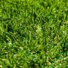 Gazon Synthetique 45mm - 2Mx12M soit 24m2 - MGS 1