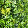 Haie murale lierre artificiel brise vue dense occultant 1m x 1m