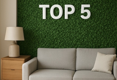 Top 5 des murs végétaux 2025 pour une déco naturelle 